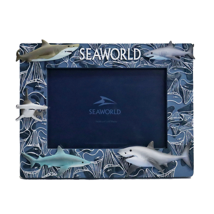 SeaWorld Shark Tooth 4x6 Frame