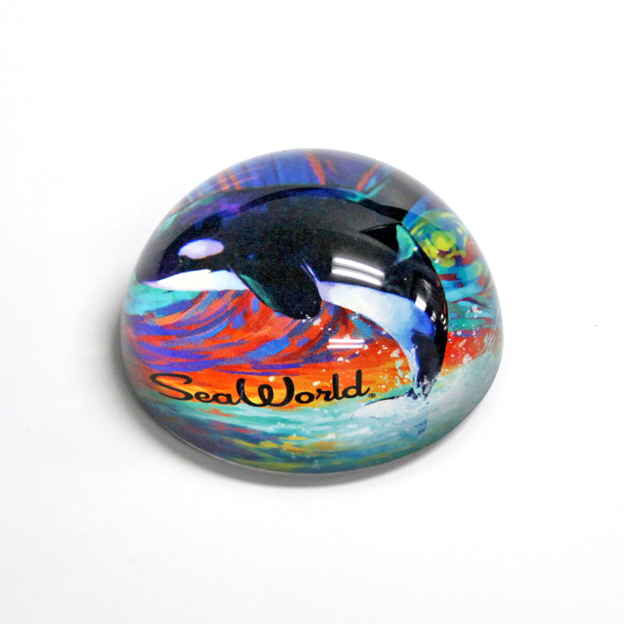 SeaWorld Orca Painter Paperweight