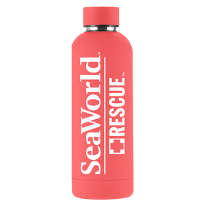 SeaWorld Rescue 17 Oz Coral Rubber Stainless Steel Bottle